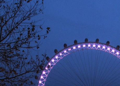 The London Eye. Architect and Designer: Marks Barfield Architects